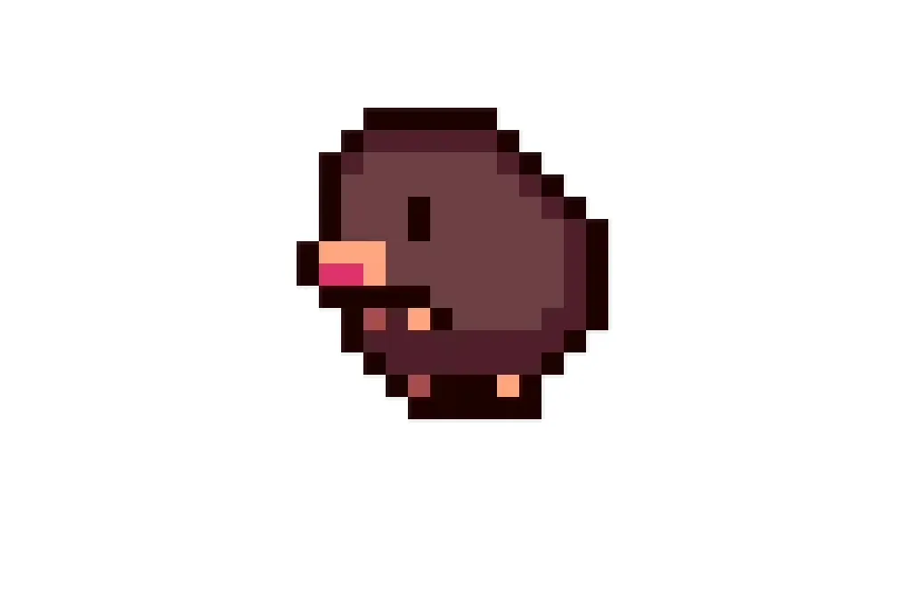 Cover Image of the Post